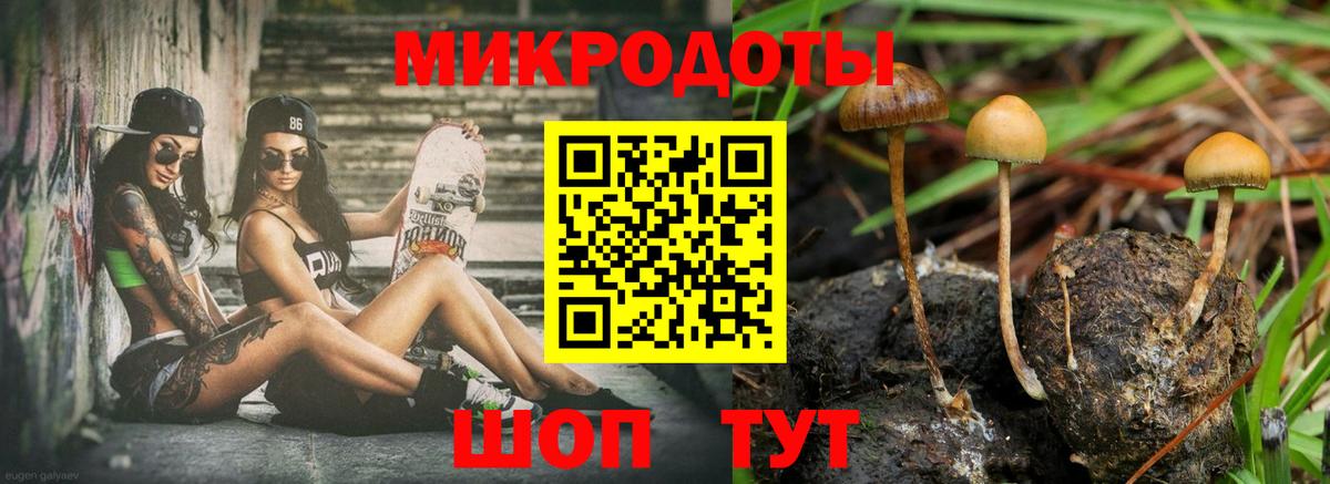 Псилоцибиновые грибы MAGIC MUSHROOMS  Вход с VPN  Минеральные Воды  Псилоцибиновые грибы Cubensis 